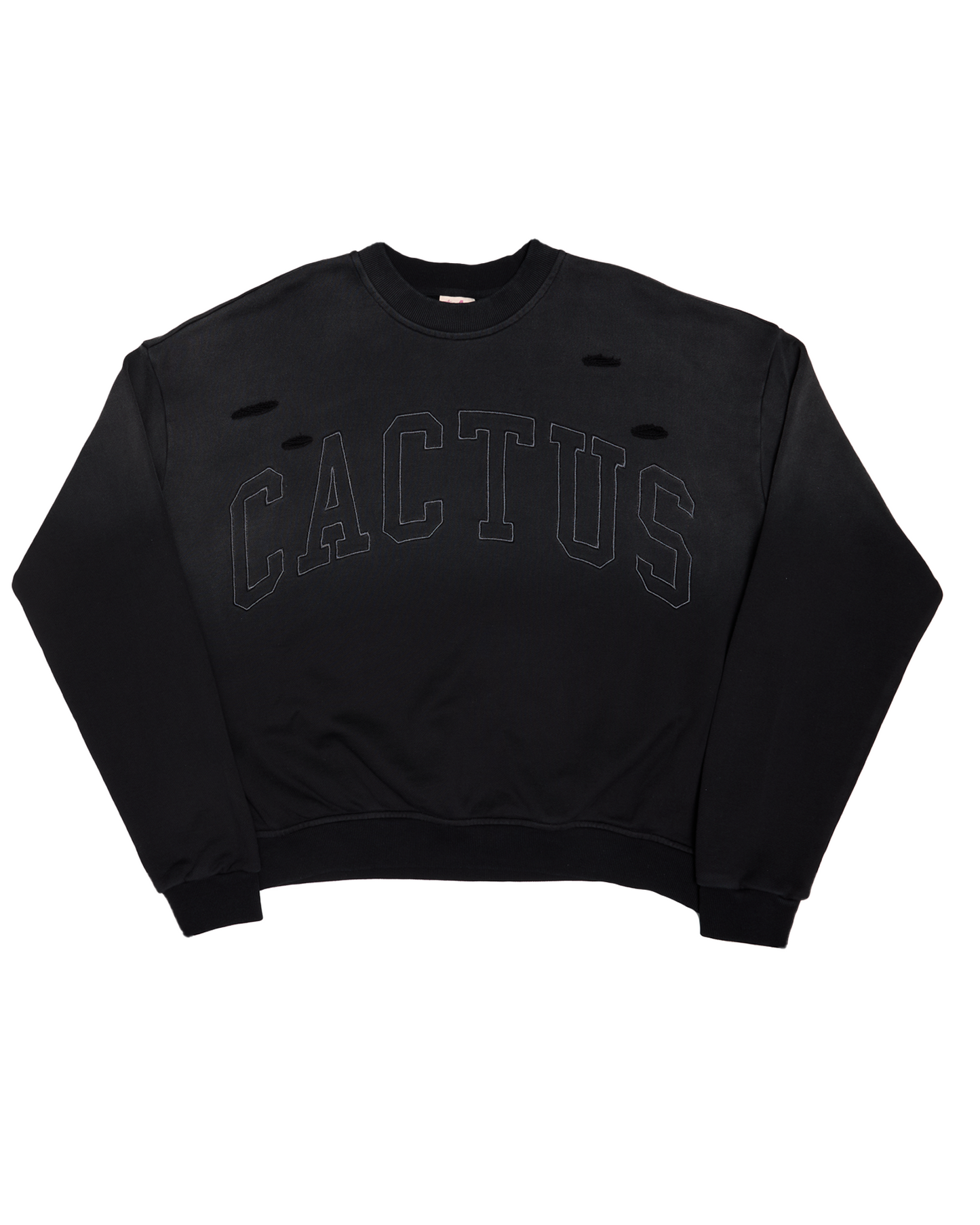 Midnight Cactus Crewneck