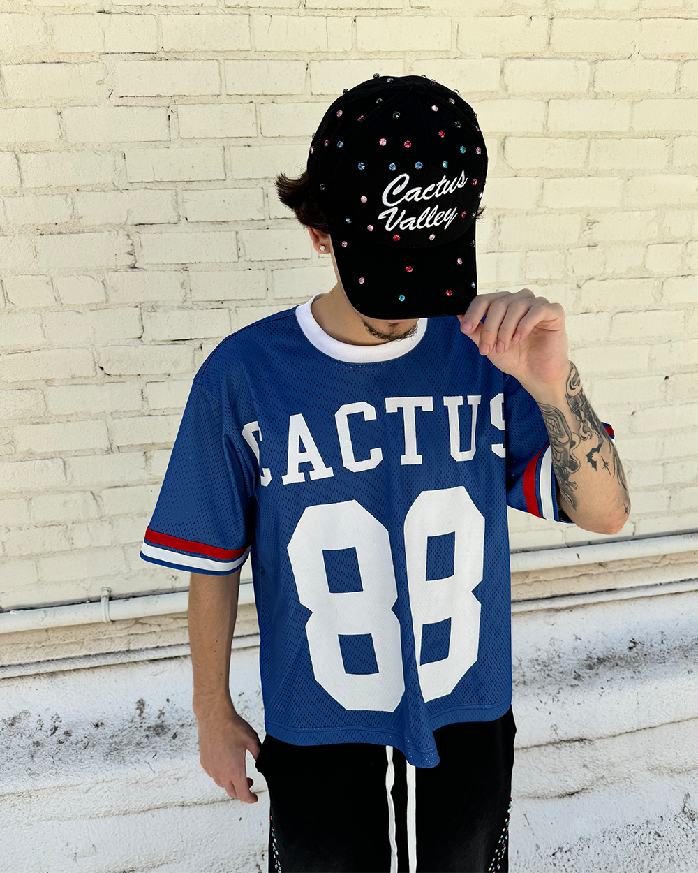 Gemini Hat