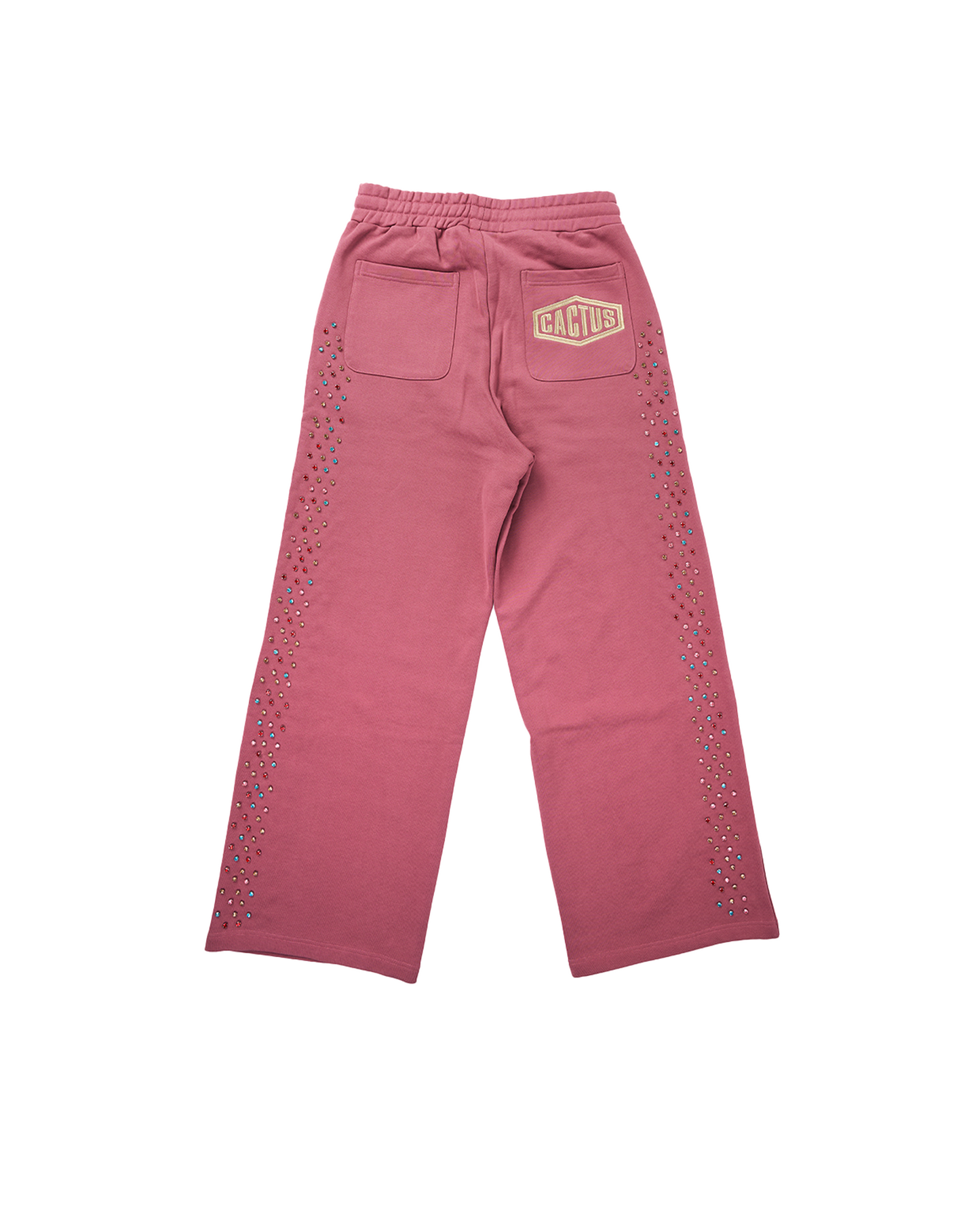 Crystal Cactus Sweats