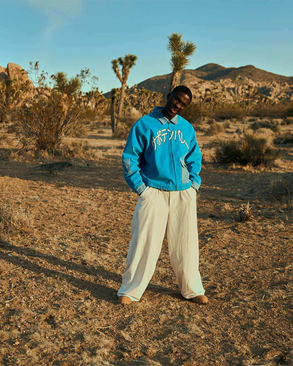 Cactus Japan Jacket
