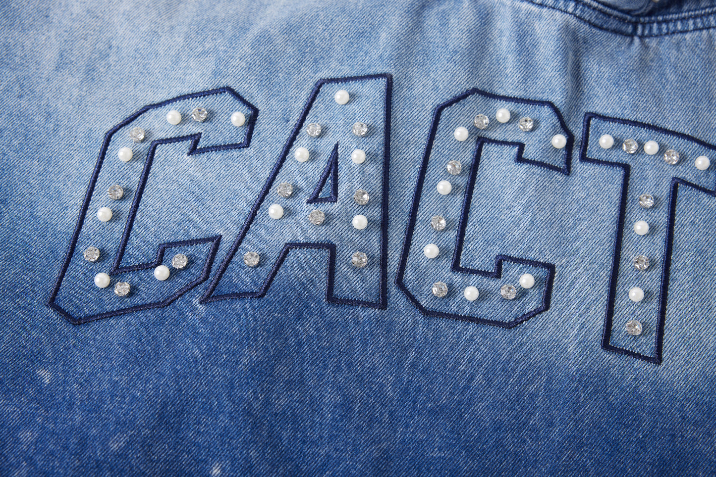 CACTUS CRYSTAL DENIM HOODIE