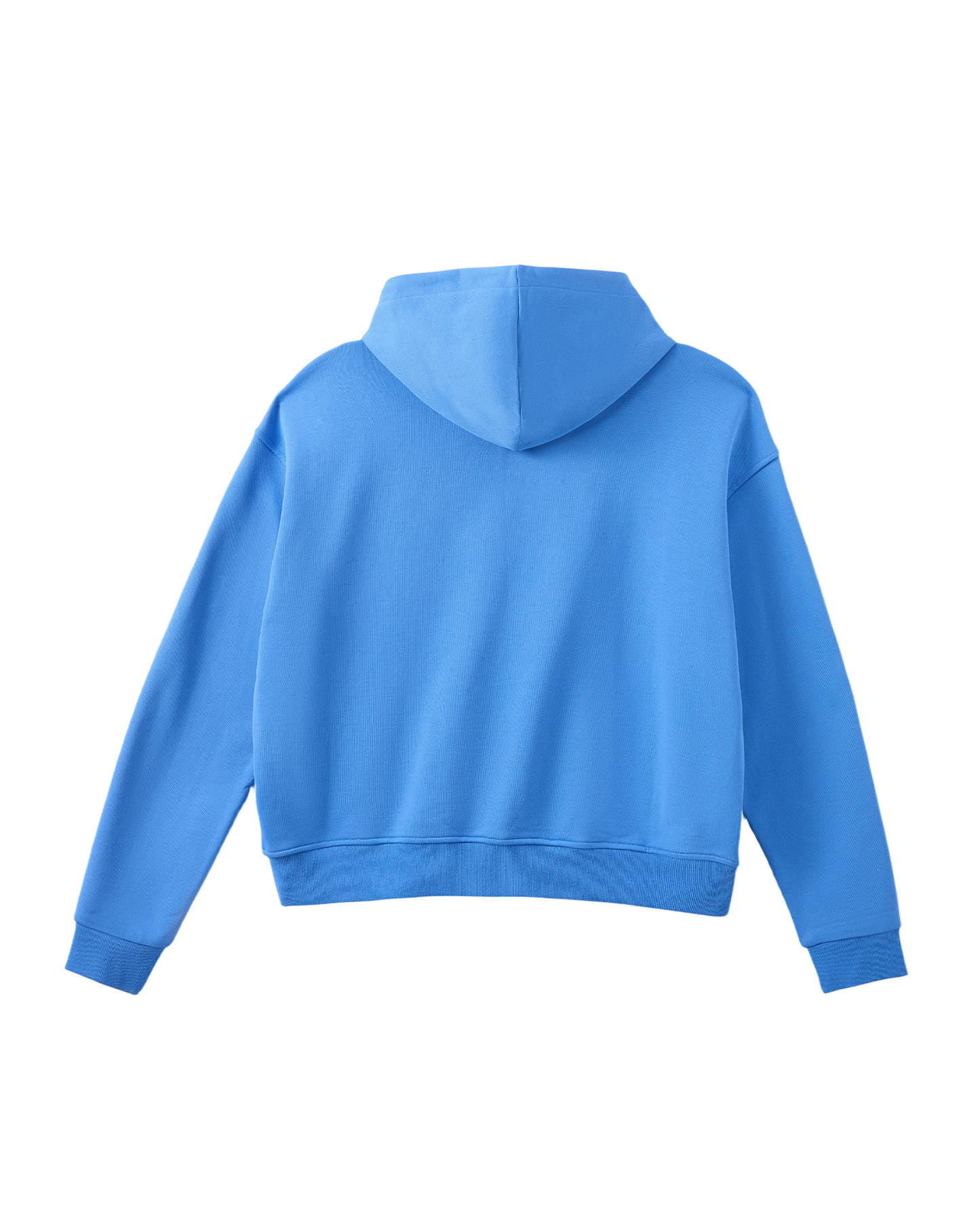 CRYSTAL CACTUS ZIP HOODIE - BABY BLUE