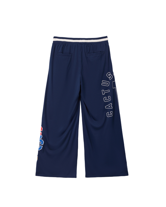 Collegiate MESH PANTS
