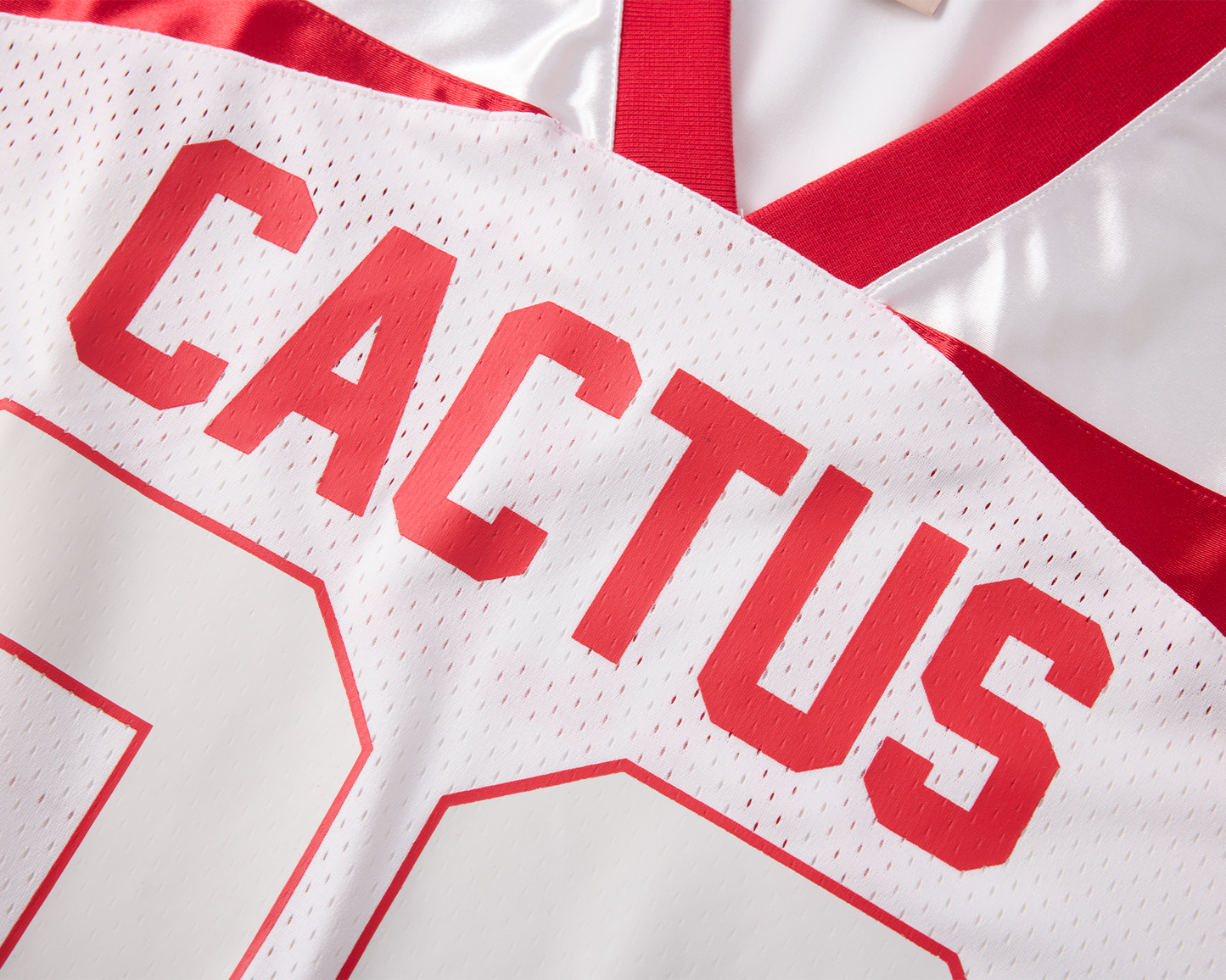Cactus High Jersey