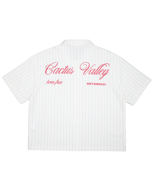 CV Stripes button up