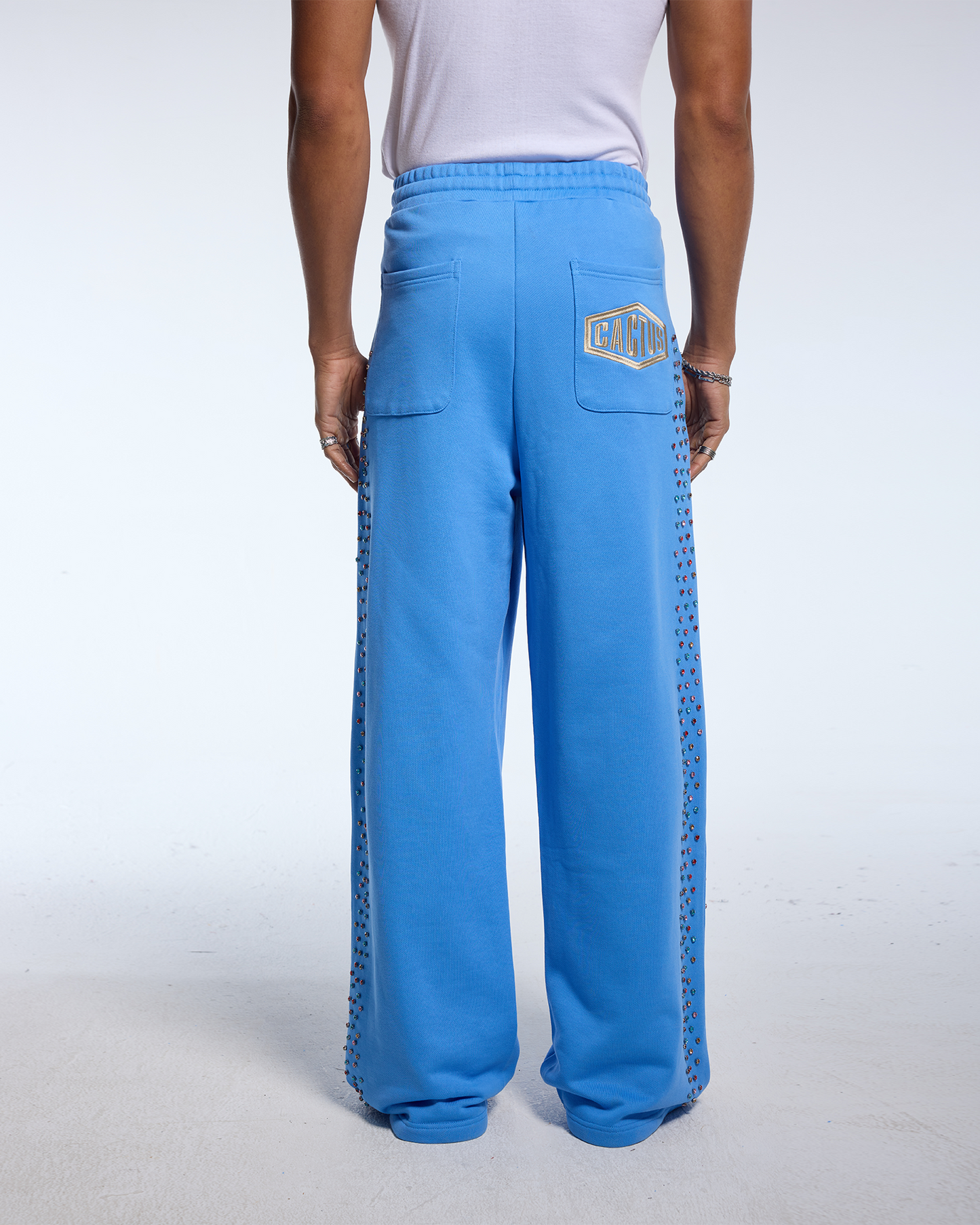 CRYSTAL CACTUS SWEATS - BABY BLUE