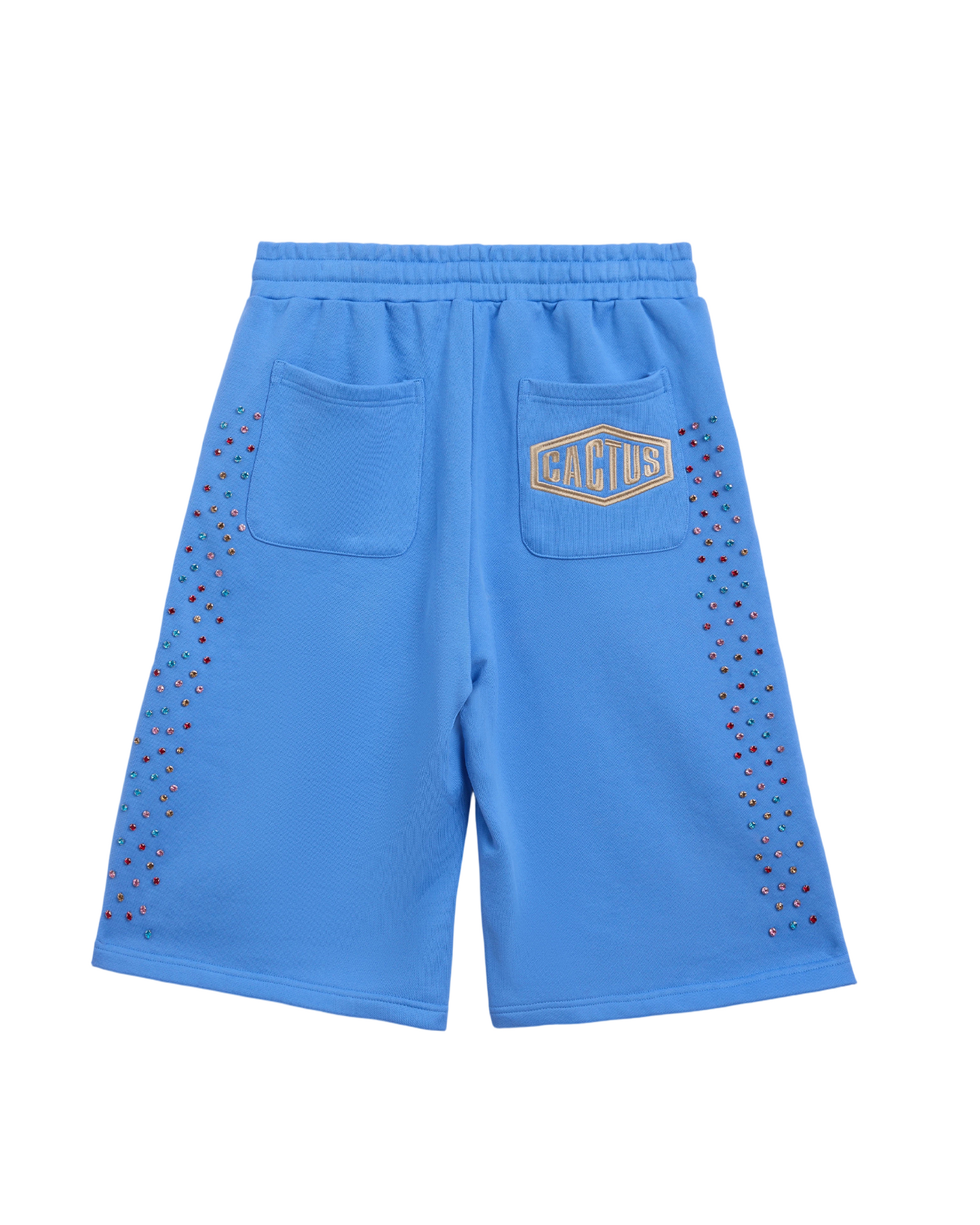 Crystal Cactus Sweat Shorts - Baby Blue