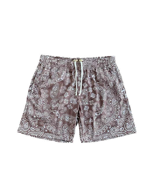 Brown Paisley Mesh Shorts