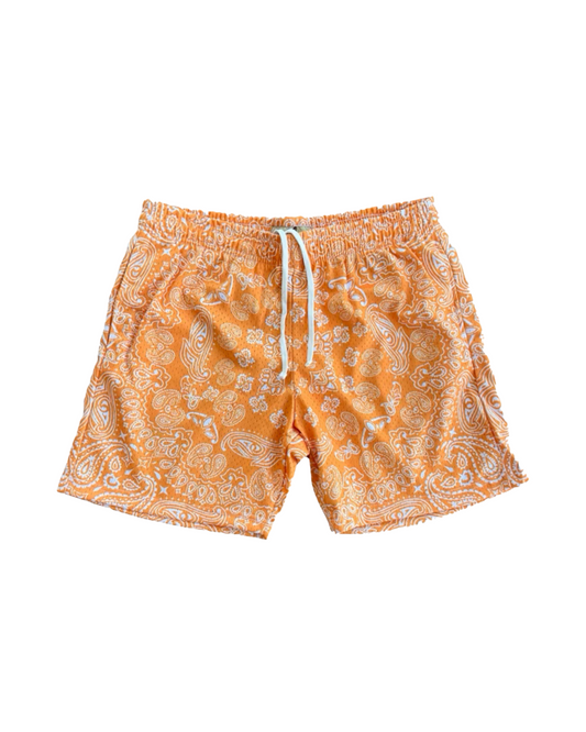 Orange Paisley Mesh Shorts