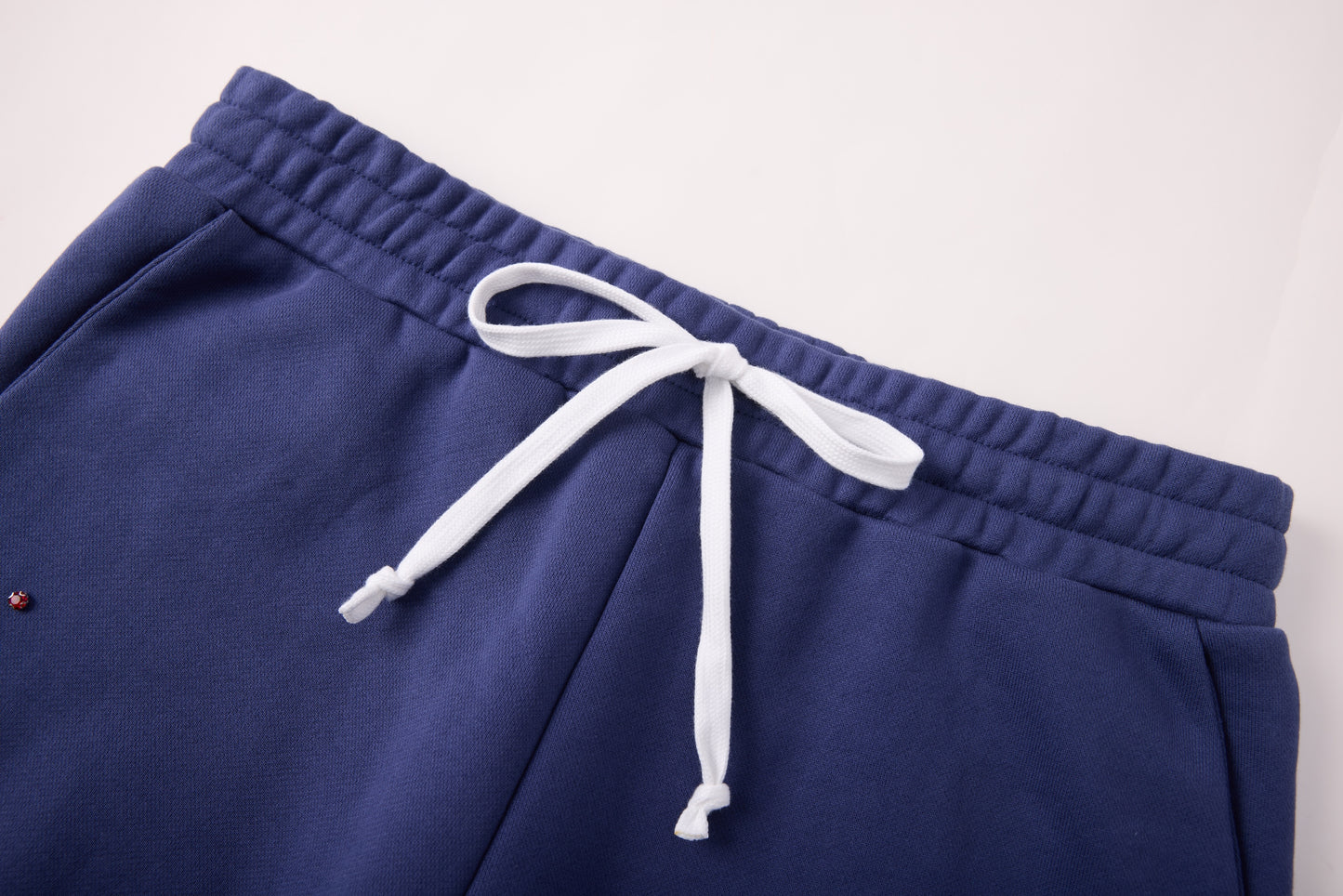 Crystal Cactus Sweats - Navy