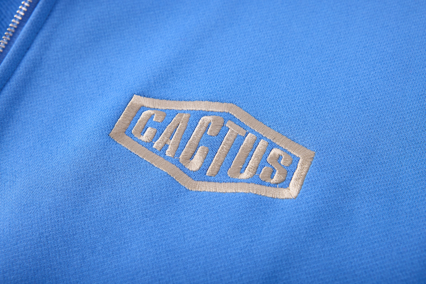 CRYSTAL CACTUS ZIP HOODIE - BABY BLUE